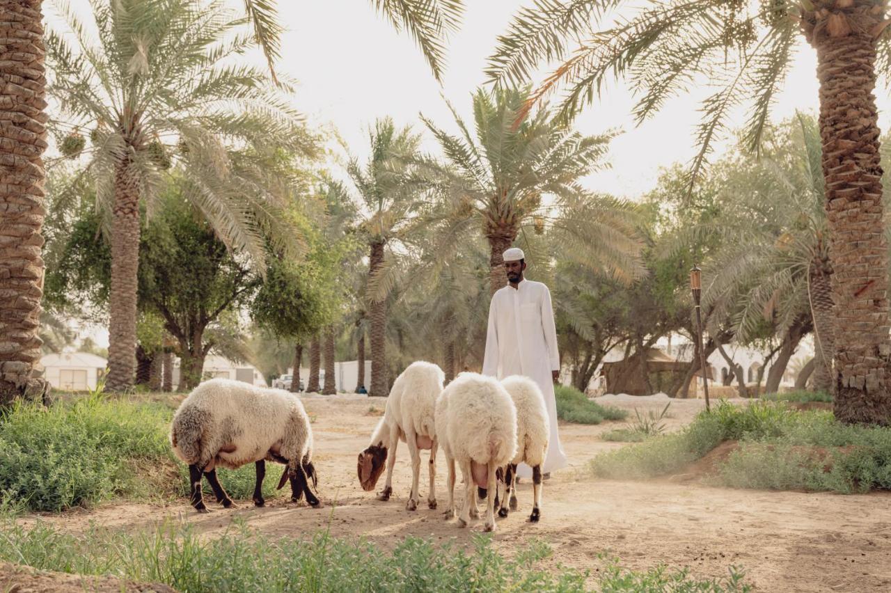 Heenat Salma Farm Ash-Shahaniyah Esterno foto